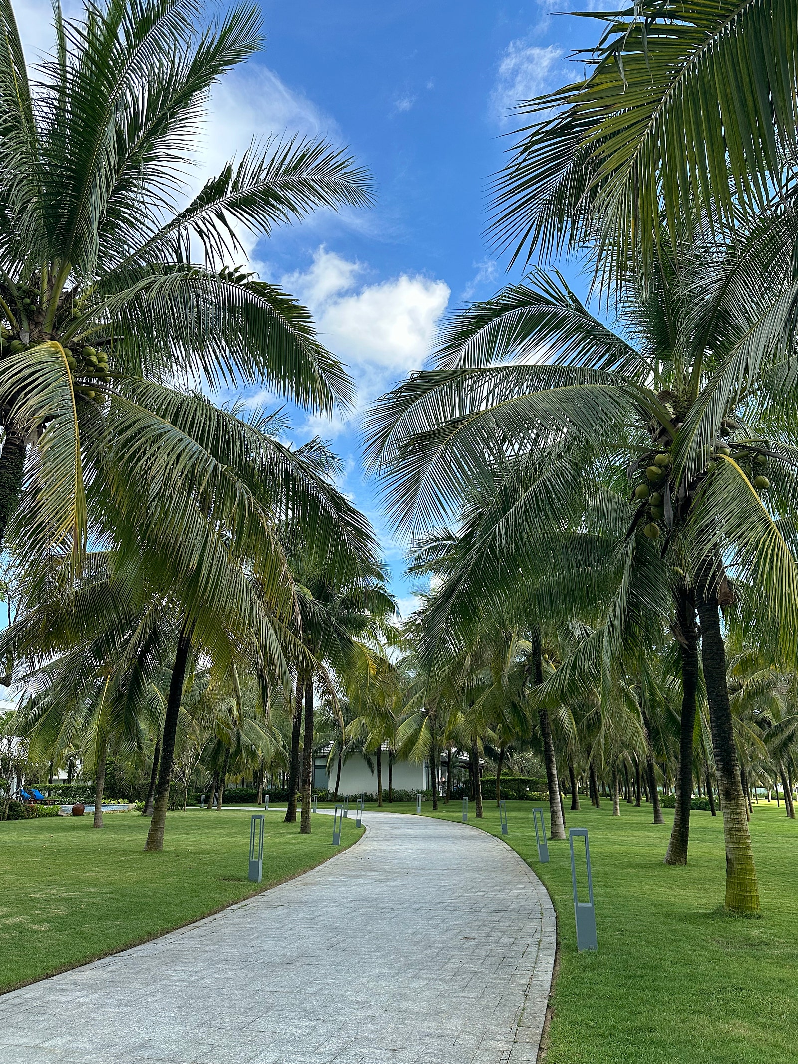 오늘도 맑은 푸꾸옥
