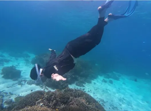 [여행후기  ] 보홀 여행 재밌었습니다