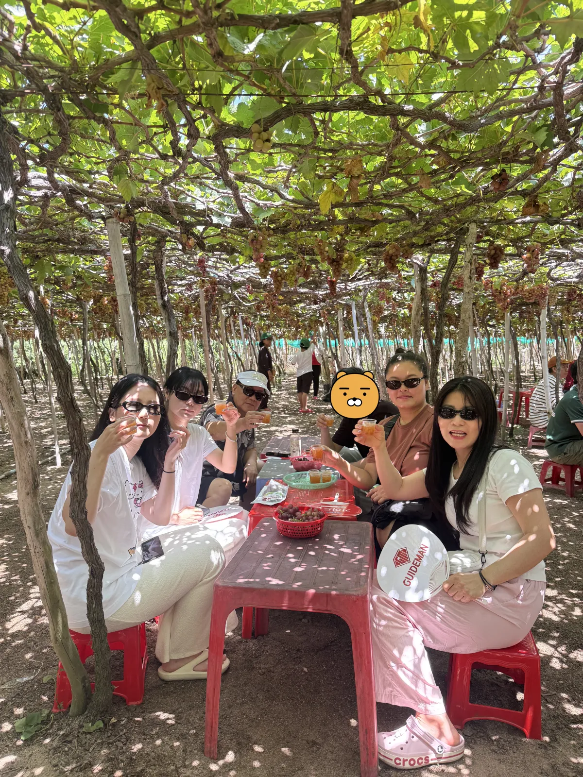 회사에서 나트랑여행 _탄가이드님과 함께